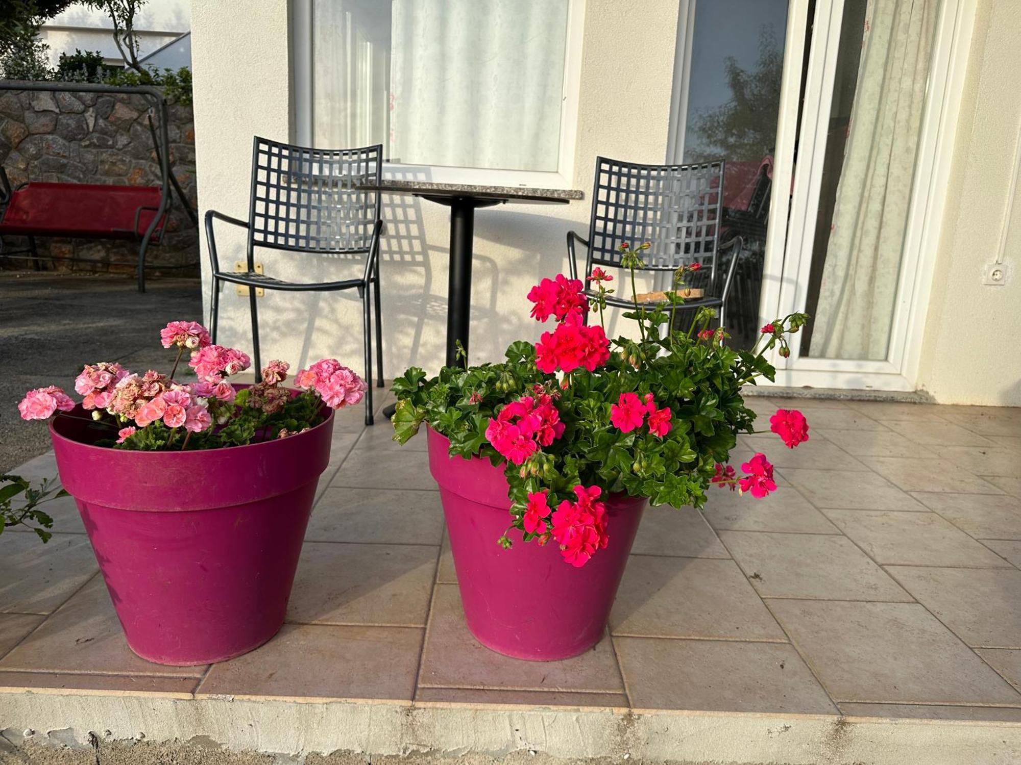 Villa Beba - Apartments Senj  Dış mekan fotoğraf