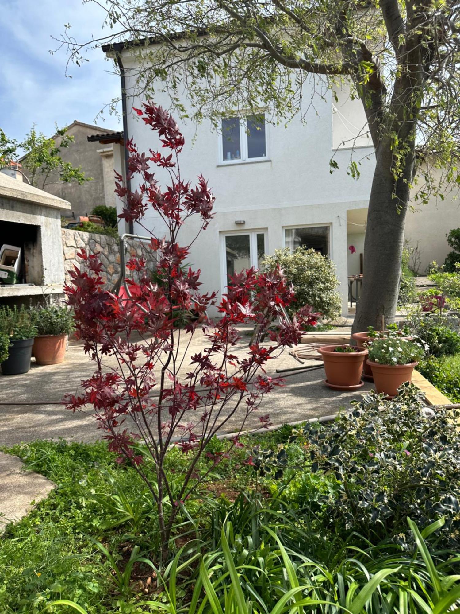Villa Beba - Apartments Senj  Dış mekan fotoğraf